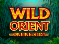 logo wild orient microgaming slot game